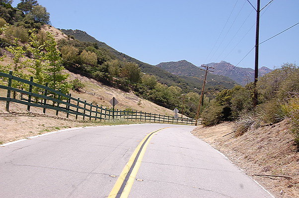 DSC 0571