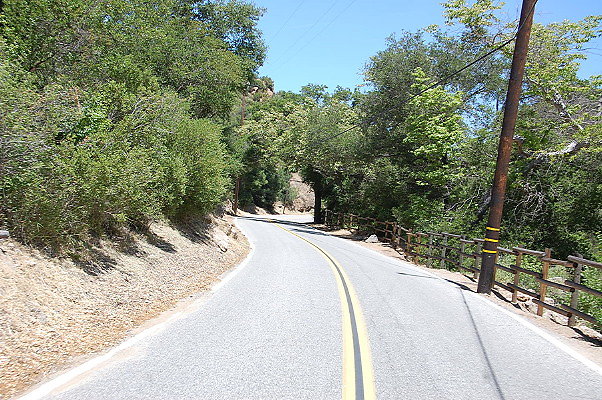 DSC 0616