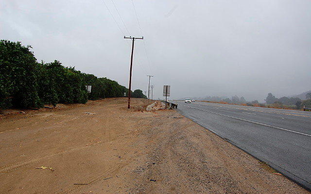DSC 0005
