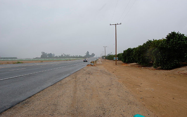 DSC 0004
