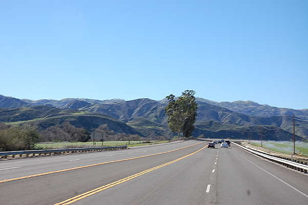DSC 0193