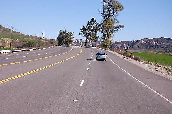 DSC 0341