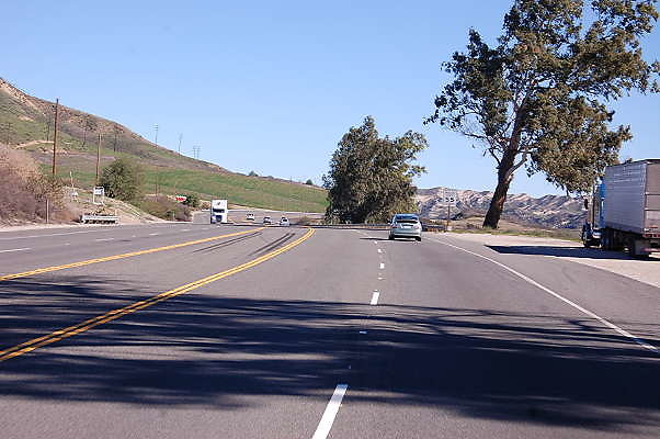 DSC 0342
