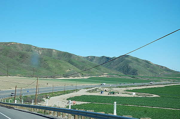 DSC 0335