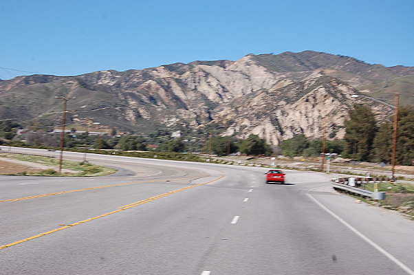 DSC 0231