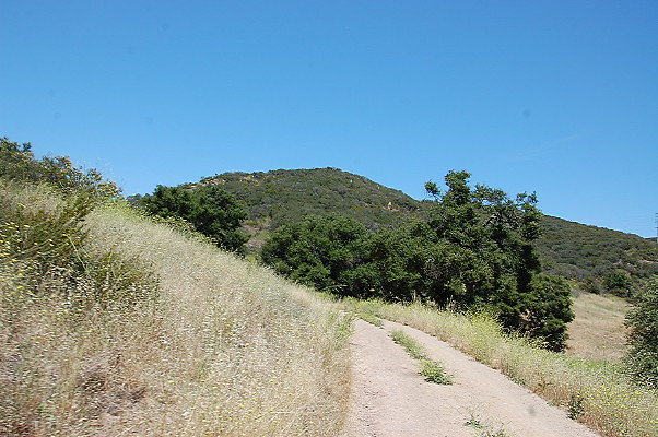 DSC 0805