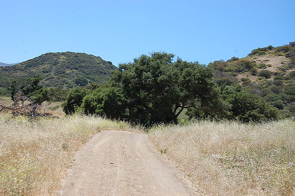 DSC 0723