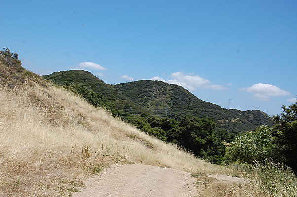 DSC 0801