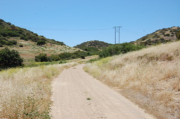 DSC 0729