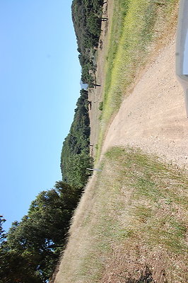 DSC 0816