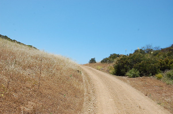 DSC 0739