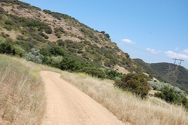 DSC 0793