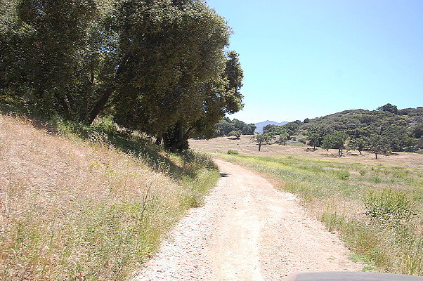 DSC 0815