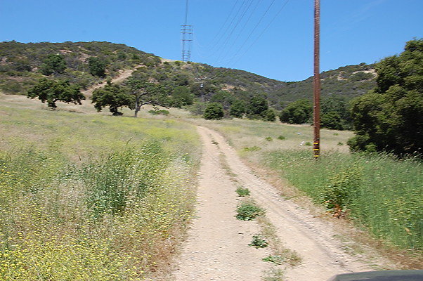 DSC 0718