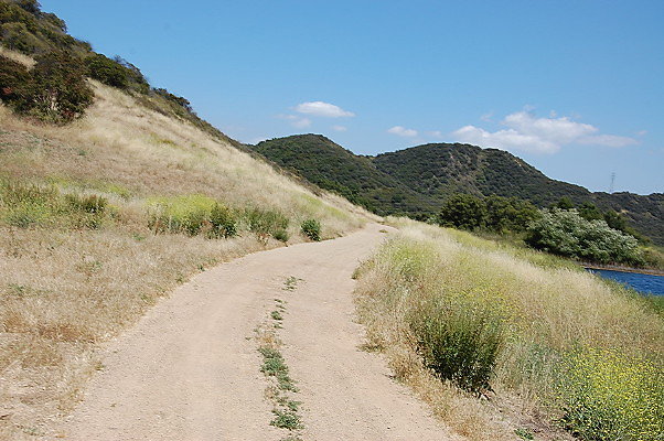 DSC 0798