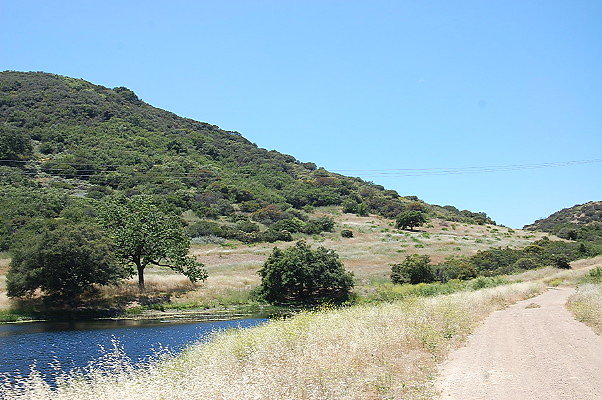 DSC 0730
