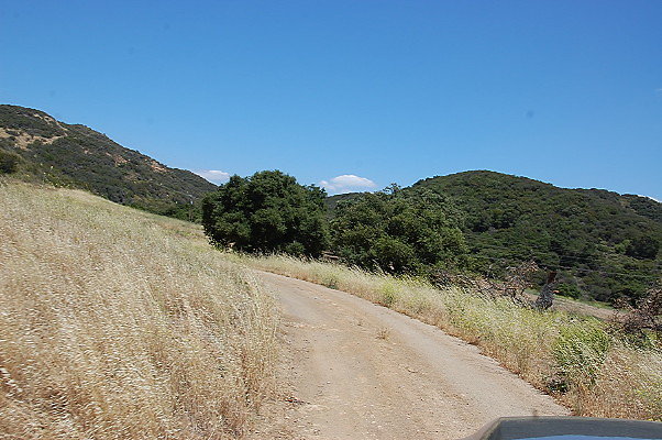 DSC 0809