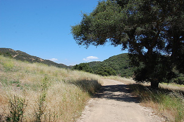 DSC 0808