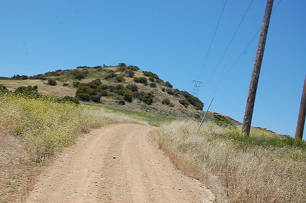 DSC 0733