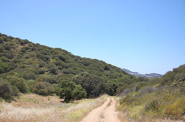 DSC 0740