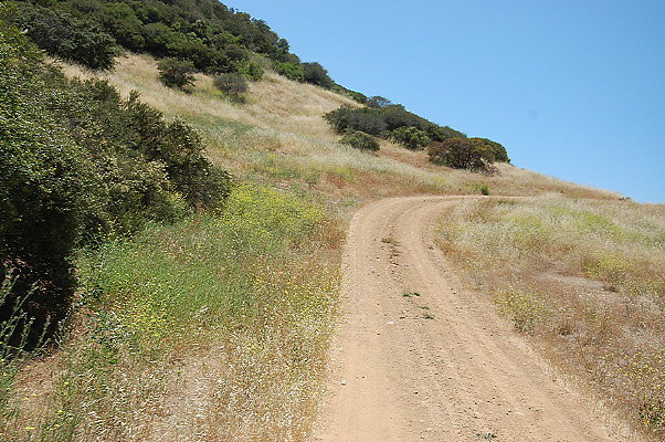 DSC 0738