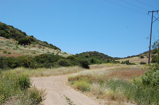 DSC 0732