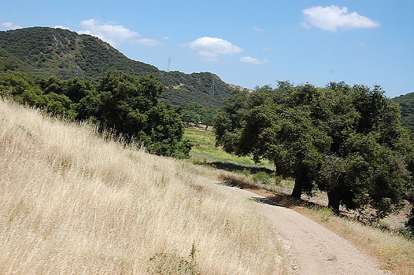 DSC 0802