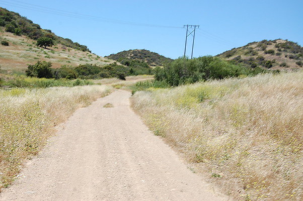 DSC 0731