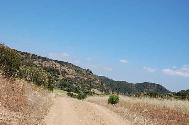 DSC 0788