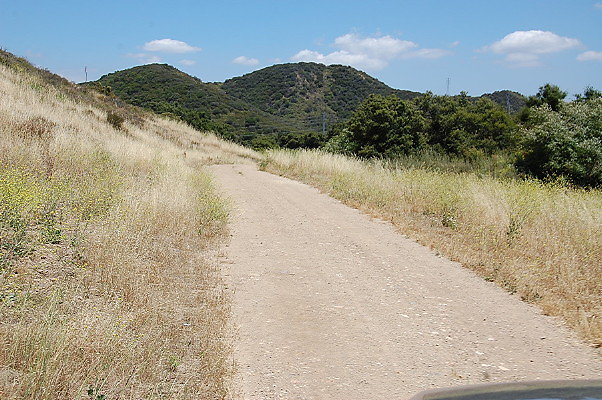 DSC 0800