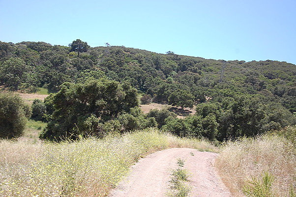 DSC 0726