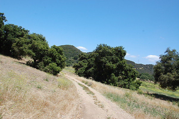 DSC 0803