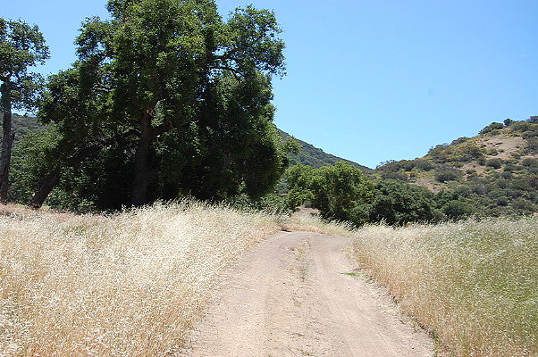 DSC 0720