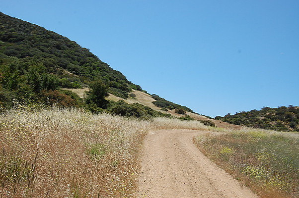 DSC 0735