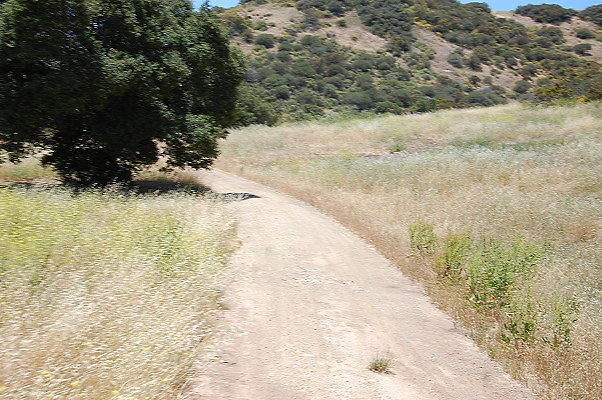 DSC 0722