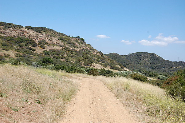 DSC 0792