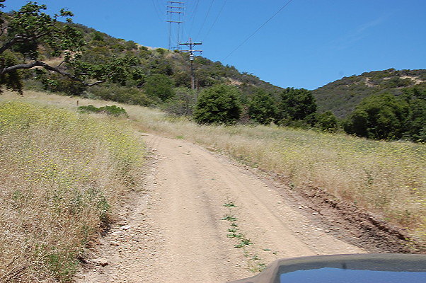 DSC 0719