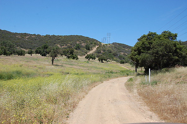 DSC 0716