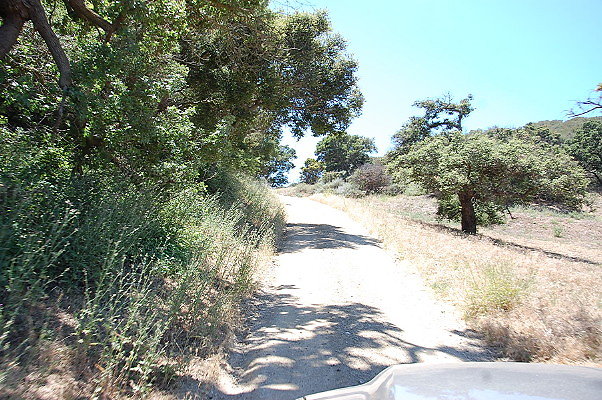 DSC 0823