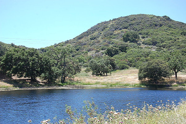 DSC 0728