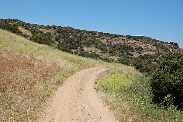 DSC 0791