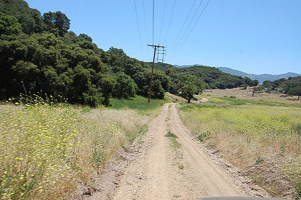 DSC 0813