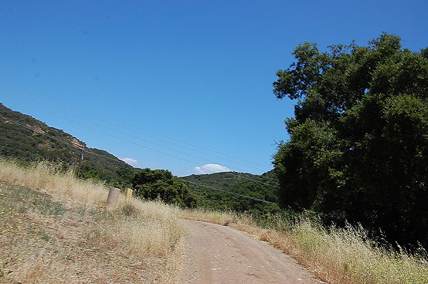 DSC 0811
