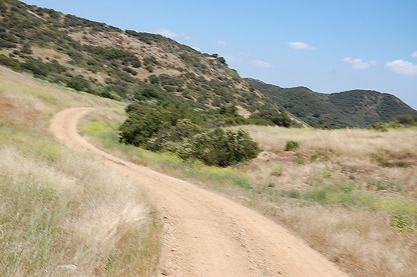 DSC 0790