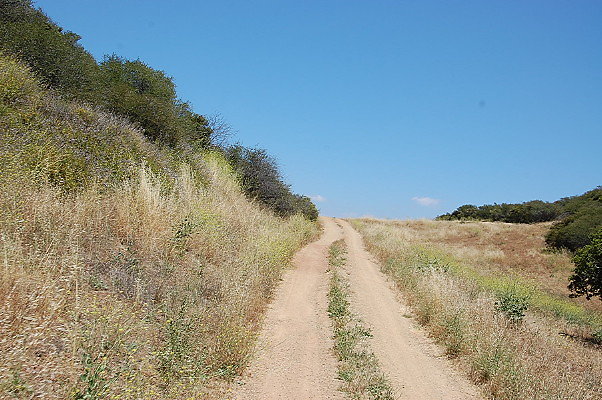 DSC 0786