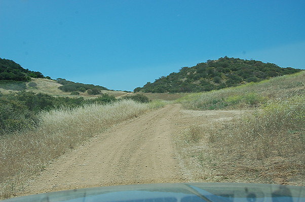 DSC 0736