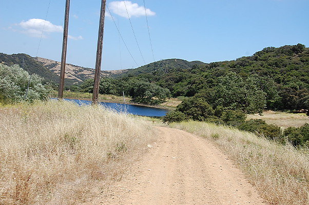 DSC 0795