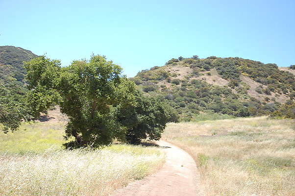 DSC 0721