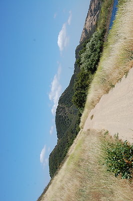 DSC 0799