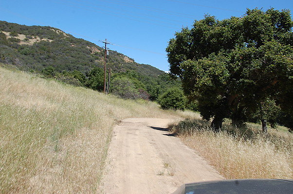 DSC 0812